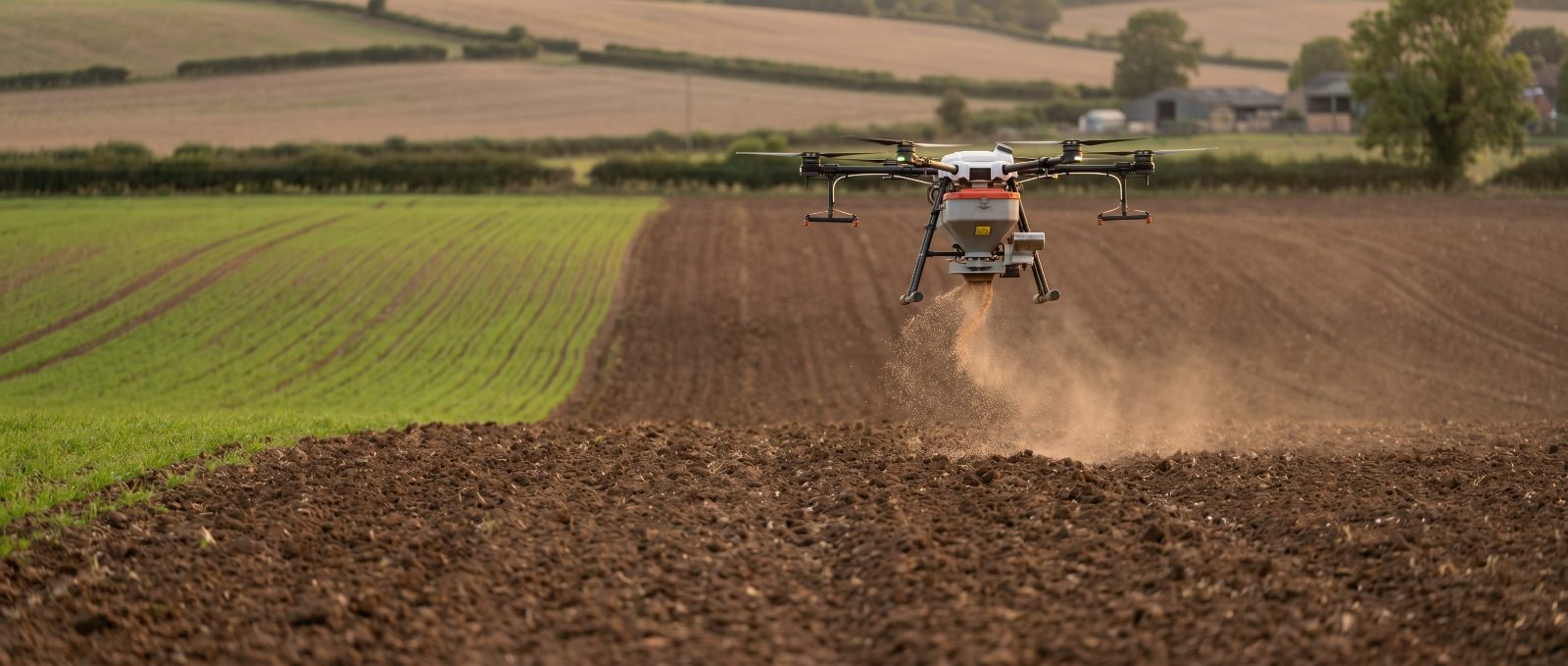Drone seeding